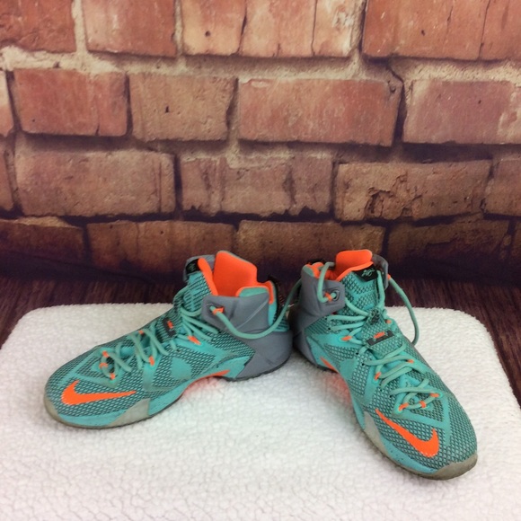 lebron 12 miami dolphins